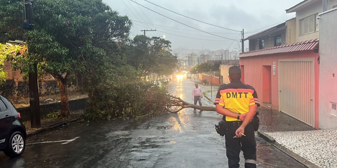 Chuva provoca queda de árvores em Poços de Caldas ONDA POÇOS