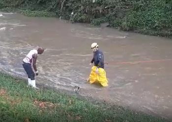 Bombeiros resgatam cadela levada por correnteza