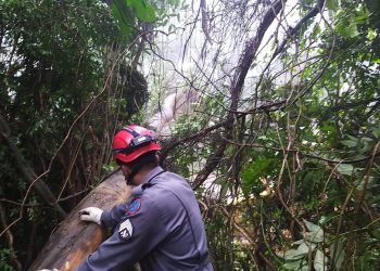 Ocorrências relacionadas a chuva são registradas em Poços de Caldas