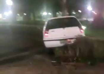 Motorista invade jardim da Praça Pedro Sanches em Poços de Caldas