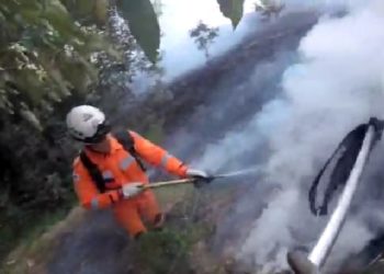 Bombeiros combatem incêndio em vegetação em Laranjeiras de Caldas