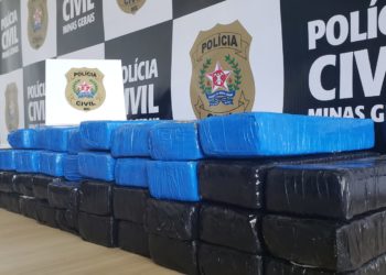 Polícia Civil faz a maior apreensão de drogas do ano em Poços