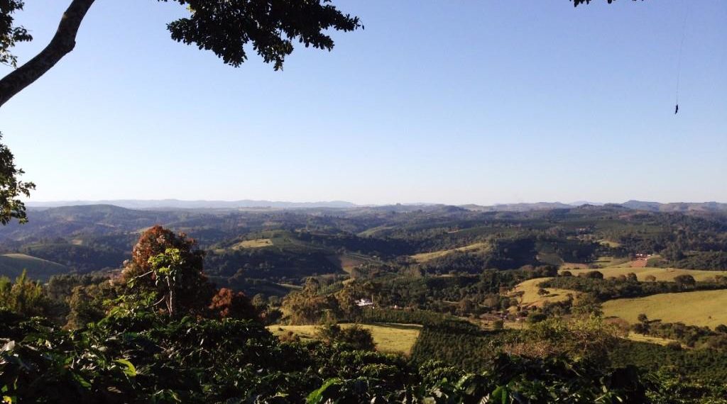 Ministério do Trabalho orienta produtor rural sobre covid-19
