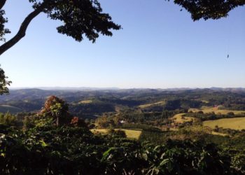 Ministério do Trabalho orienta produtor rural sobre covid-19