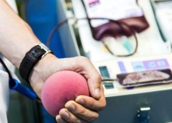 ALMG aprova fim à restrição da doação de sangue por homossexuais
