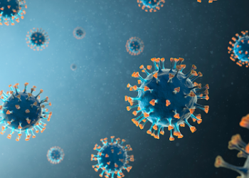 Atualização do boletim epidemiológico desta terça, 12 de maio