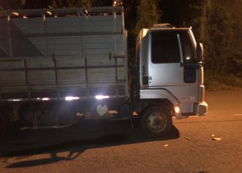 DOCUMENTO FALSO|  Homem é preso e 46 cabeças de gado apreendidas