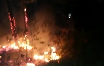 Bombeiros combatem incêndio próximo a Laranjeiras de Caldas