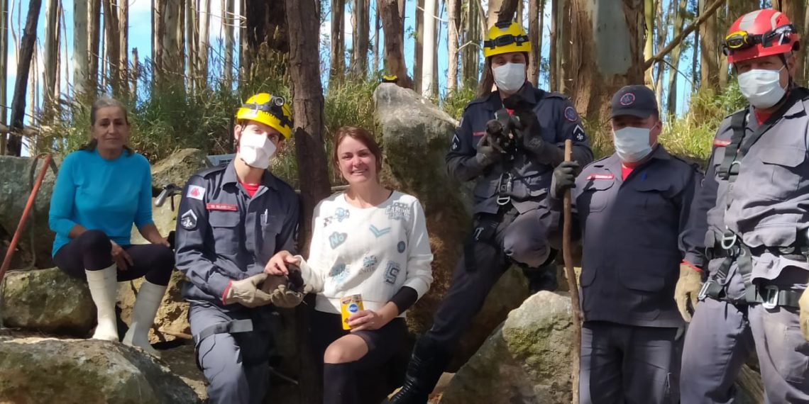 Bombeiros resgatam filhotes de cães em aterro sanitário em Poços de Caldas