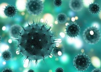 Coronavírus: atualização do Boletim Epidemiológico desta terça, 23 de junho