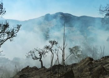 Incêndio atinge mata da Pedra Branca em Caldas