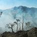 Incêndio atinge mata da Pedra Branca em Caldas