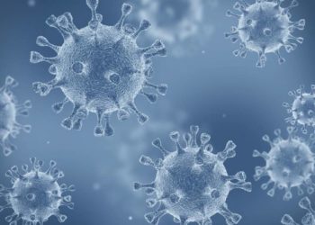 Poços atinge a marca de 308 pessoas recuperadas da Covid-19