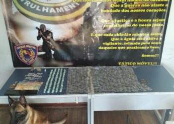 Trio é detido por tráfico de drogas com 492 pinos de cocaína