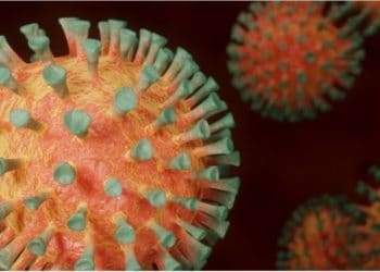 Números da pandemia em Minas Gerais sugerem estabilização da doença