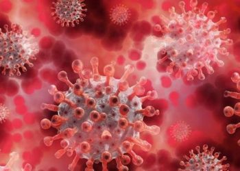 Durante festa familiar, 15 pessoas são contaminadas pela Covid-19