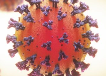 Profissionais de Saúde devem intensificar rastreamento dos contatos de contaminados e suspeitos de contaminação pela covid-19