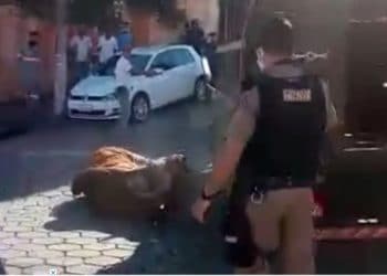 Boi invade cidade, fere pessoas e é morto a tiros de fuzil pela PM; assista
