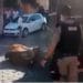 Boi invade cidade, fere pessoas e é morto a tiros de fuzil pela PM; assista