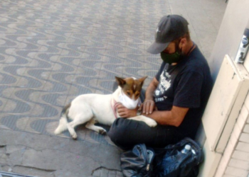 Amigos inseparáveis e prevenidos: homem coloca máscara em cachorro por conta da Covid-19