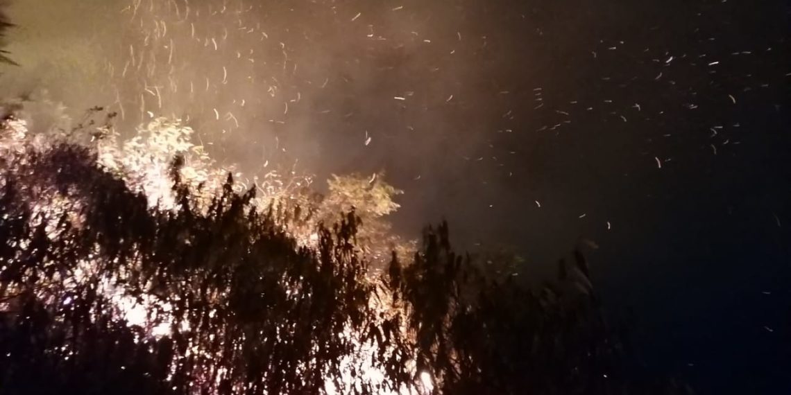 Fogo consome três hectares de vegetação em Poços de Caldas