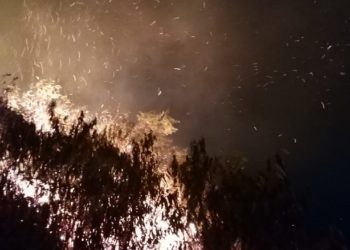 Fogo consome três hectares de vegetação em Poços de Caldas