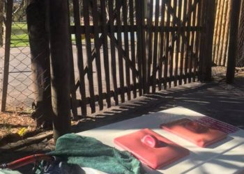 Internautas se mobilizam e ajudam idoso a vender sorvetes em Poços de Caldas