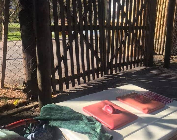 Internautas se mobilizam e ajudam idoso a vender sorvetes em Poços de Caldas