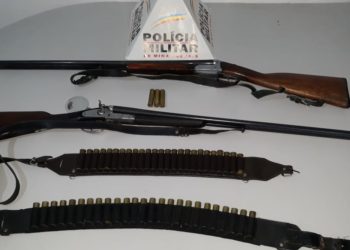 Homem é preso por porte ilegal de arma de fogo enquanto caçava