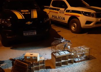 Dupla é presa com materiais de caça e pássaros