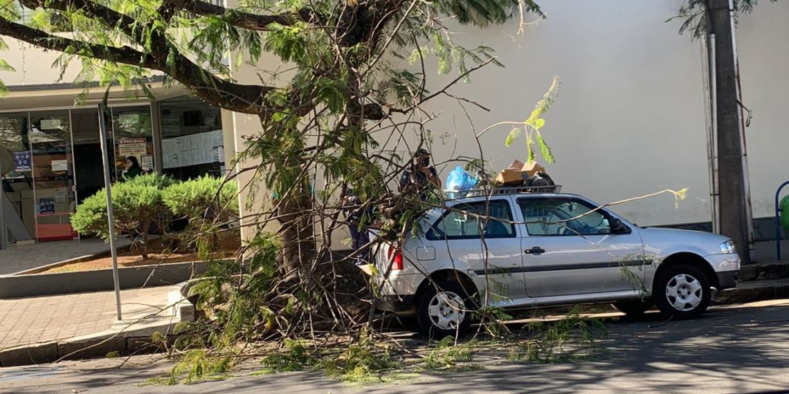 Galho de árvore cai e atinge carro na área central de Poços