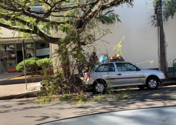 Galho de árvore cai e atinge carro na área central de Poços