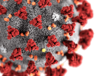 Coronavírus: Boletim Epidemiológico desta segunda, 24 de agosto