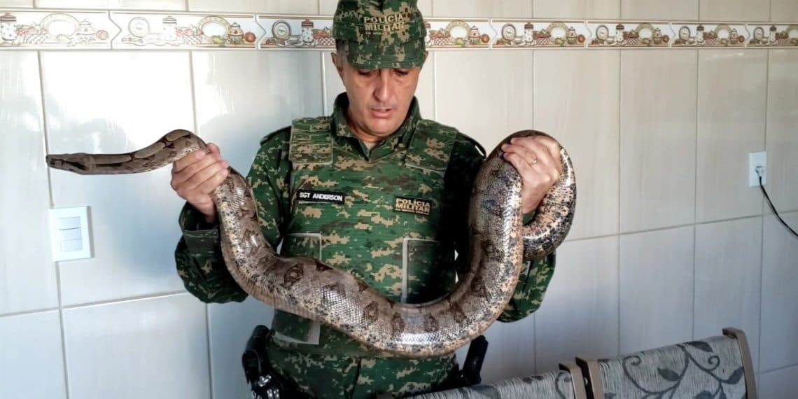 Homem é preso por criar cobras em casa em Santa Rita de Caldas