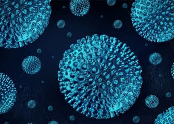 Coronavírus: Boletim Epidemiológico desta quarta, 26 de agosto