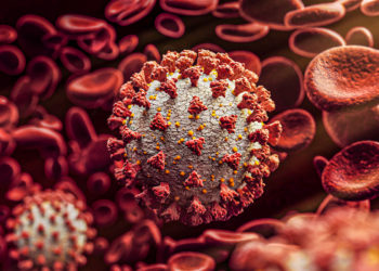 Coronavírus: Boletim Epidemiológico desta segunda, 31 de agosto