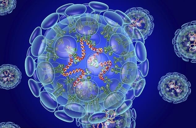 Coronavírus: Boletim Epidemiológico desta quarta, 12 de agosto