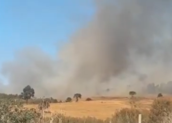 Bombeiros combatem incêndios em grandes áreas de vegetação