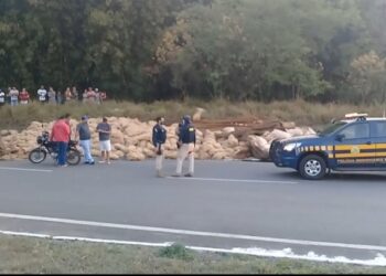 Caminhão carregado com batatas tomba e três pessoas são presas após saquearem a carga