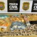 Polícia Civil prende dez suspeitos de tráfico de drogas em Poços de Caldas