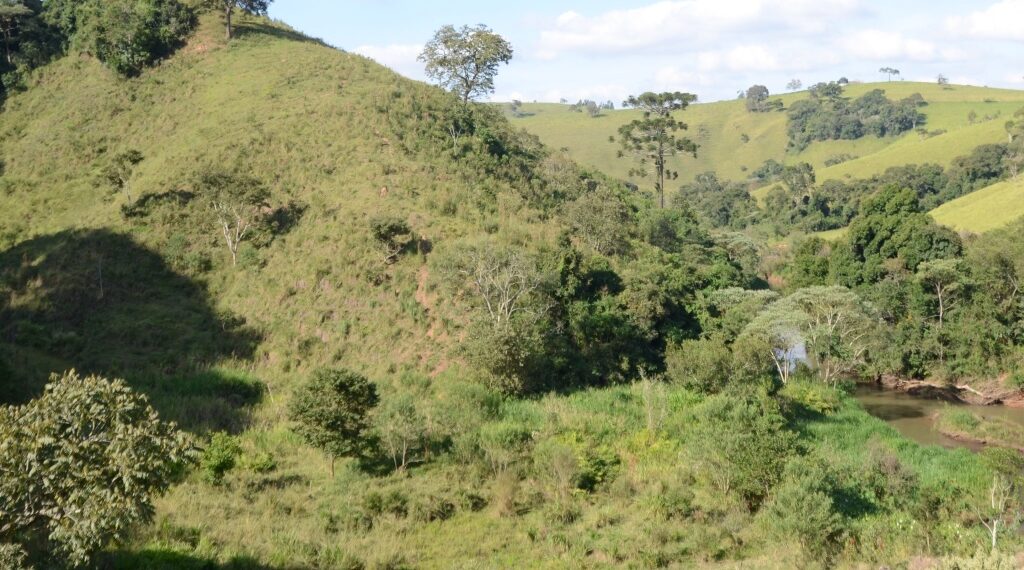CALDAS | Projeto Conservador da Mantiqueira está em fase de cercamento das áreas de mananciais