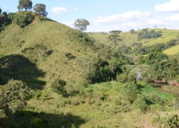 CALDAS | Projeto Conservador da Mantiqueira está em fase de cercamento das áreas de mananciais