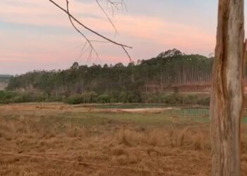 Bombeiros encontram corpo de menina que se afogou em lago