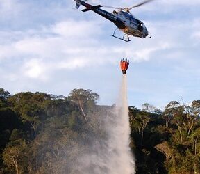Governo de Minas ajudará em combate a incêndios no Pantanal