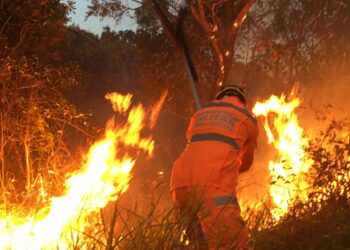 Bombeiros combatem incêndio no Bairro Santa Augusta