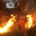Bombeiros combatem incêndio no Bairro Santa Augusta
