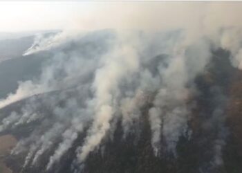 Governador de São Paulo fará sobrevoo na região afetada por incêndio em São João da Boa Vista