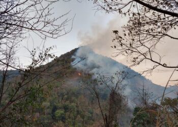 Incêndios atingem cidades da região
