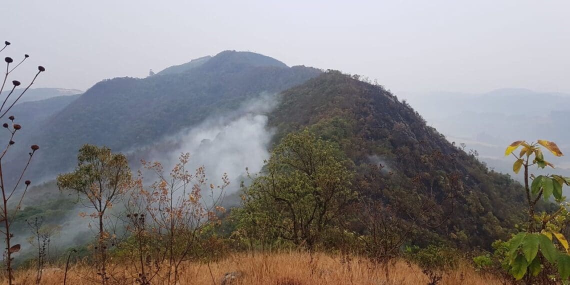 Incêndio na Serra do Caracol é extinto após uma semana de combate