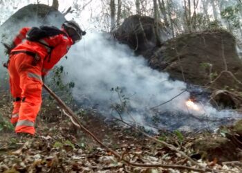 Incêndio na Serra do Caracol já dura três dias